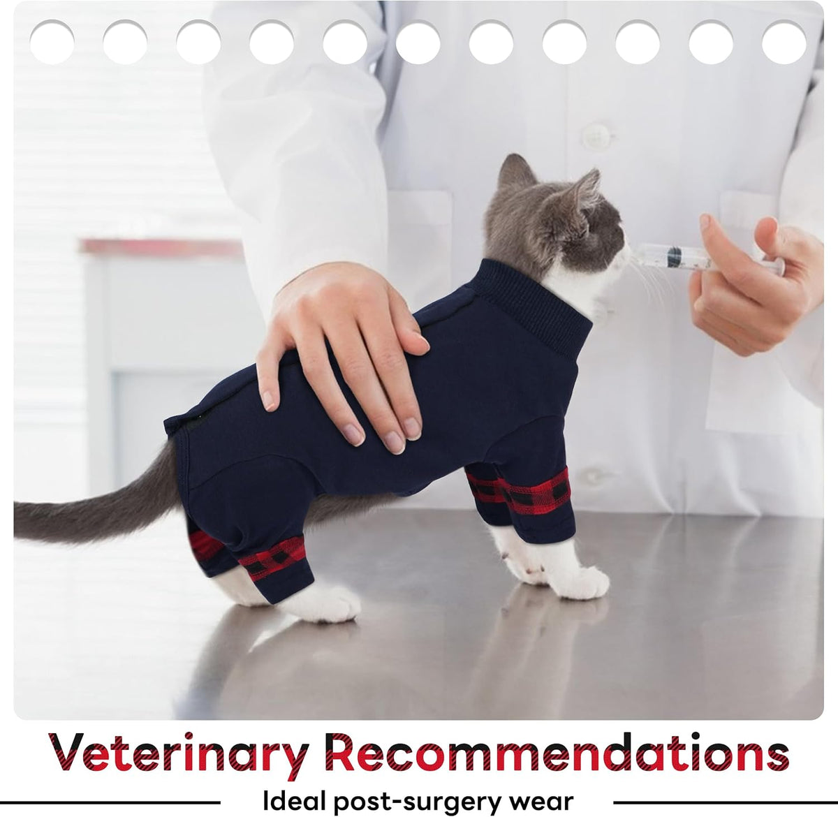 Pumyporeity breathable cat recovery apparel sizing reference