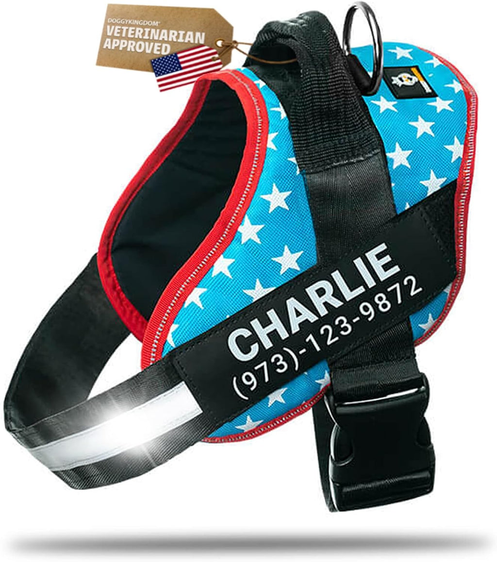 DOGGYKINGDOM Personalized Dog Harness with Custom Name Patches, Adjustable Reflective No Choke Dog Vest with Handle for Medium Sized Dog, Blue, M - Image 15