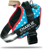 DOGGYKINGDOM Personalized Dog Harness with Custom Name Patches, Adjustable Reflective No Choke Dog Vest with Handle for Medium Sized Dog, Blue, M - Image 15