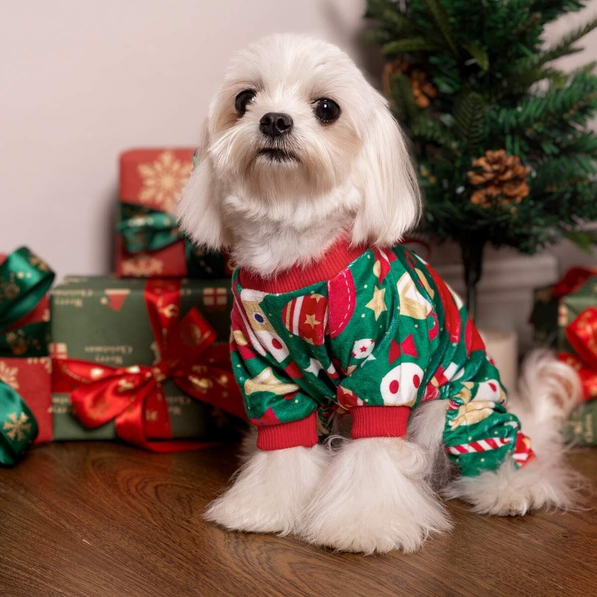 Small breed dog sitting comfortably in festive holiday dog pajamas