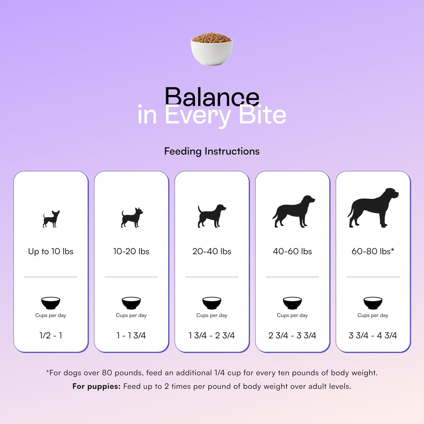 PawCo Foods premium dog nutrition tubs arranged for storage