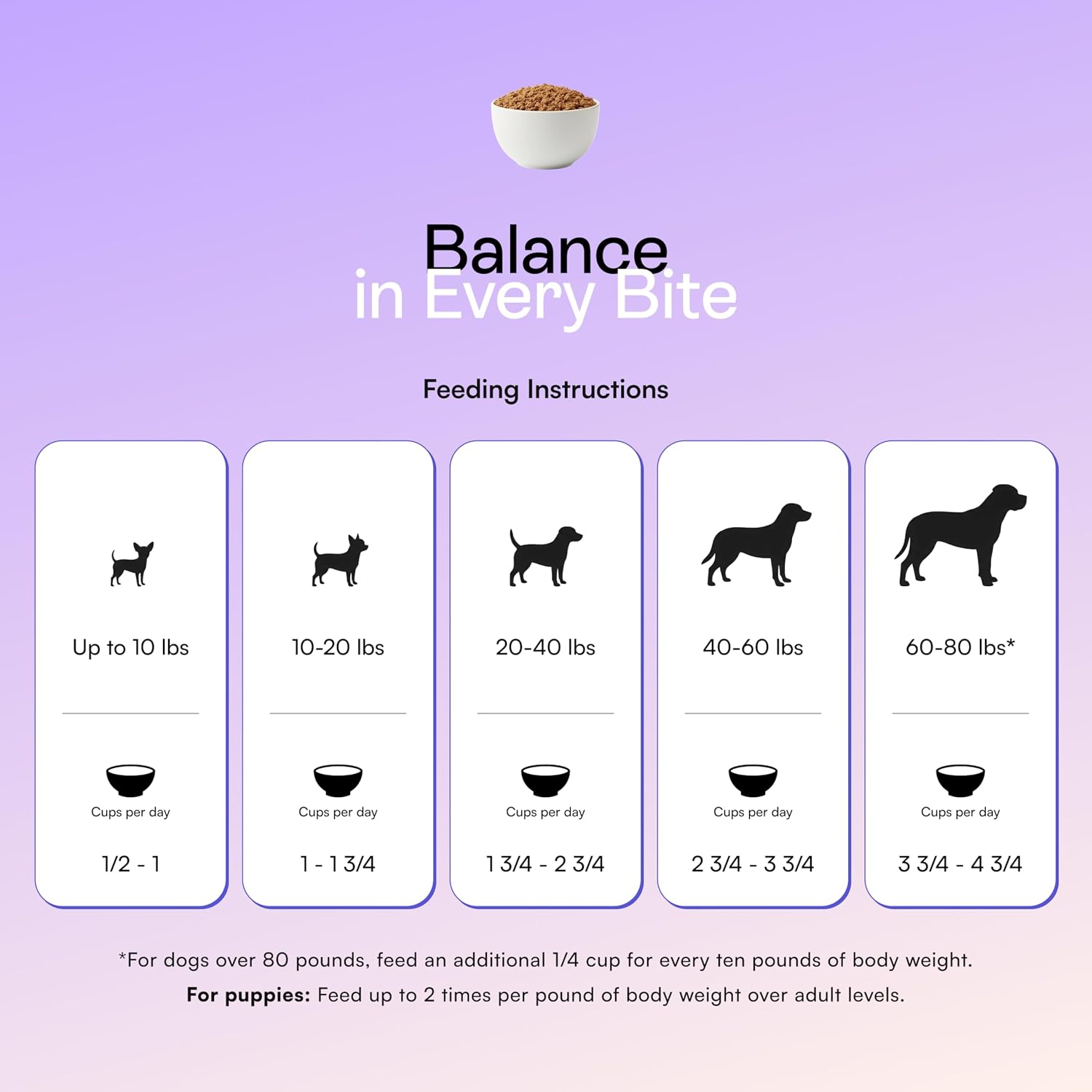 PawCo Foods premium dog nutrition tubs arranged for storage