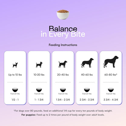 PawCo Foods premium dog nutrition tubs arranged for storage