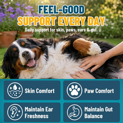 VICSOM Yeast Infection Treatment for Dogs, 200 Soft Chews Natural Anti Yeast Support Itchy Skin Paw Licking Ear Odor Allergy Relief for Dogs, Caprylic Acid + Probiotics, Chicken Flavor All Breeds - Image 9