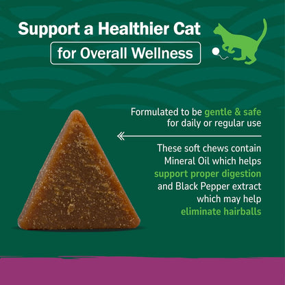 Veterinarian formulated PetNC hairball supplement for long haired cats