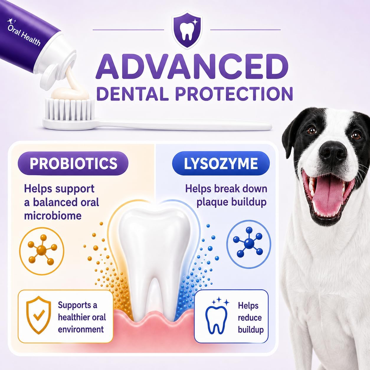Tube of VVHOMIFE probiotic pet toothpaste 3.52 ounces