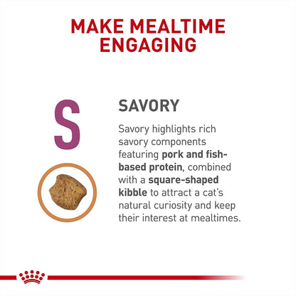 Royal Canin Veterinary Diet Feline Renal Support S square kibble shape