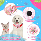 Medium sized dog showing a flamingo themed collar bow tie attachment