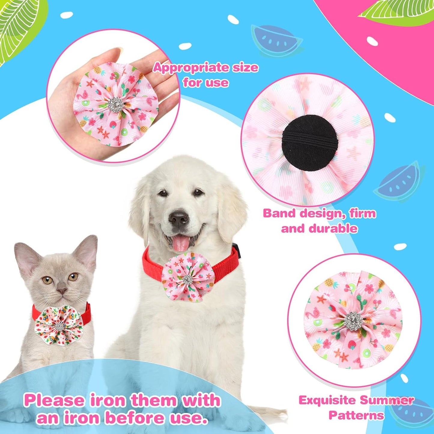 Medium sized dog showing a flamingo themed collar bow tie attachment