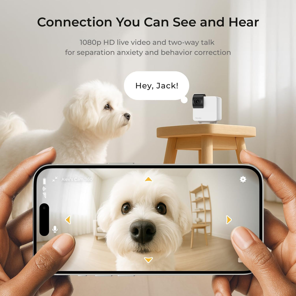 Petcube indoor monitoring device demonstrating night vision capabilities in dark rooms