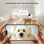 Petcube indoor monitoring device demonstrating night vision capabilities in dark rooms