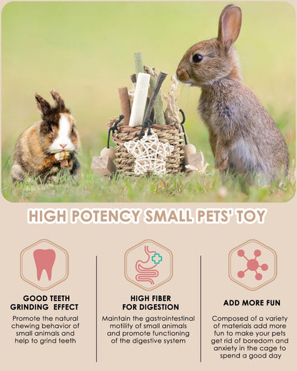 Bissap rabbit teeth grinding toy with sweet bamboo and apple sticks close up