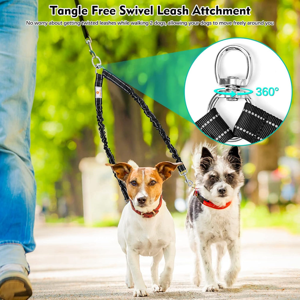 Heavy duty two dog walking attachment close up on nickel plated hardware
