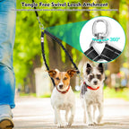 Heavy duty two dog walking attachment close up on nickel plated hardware