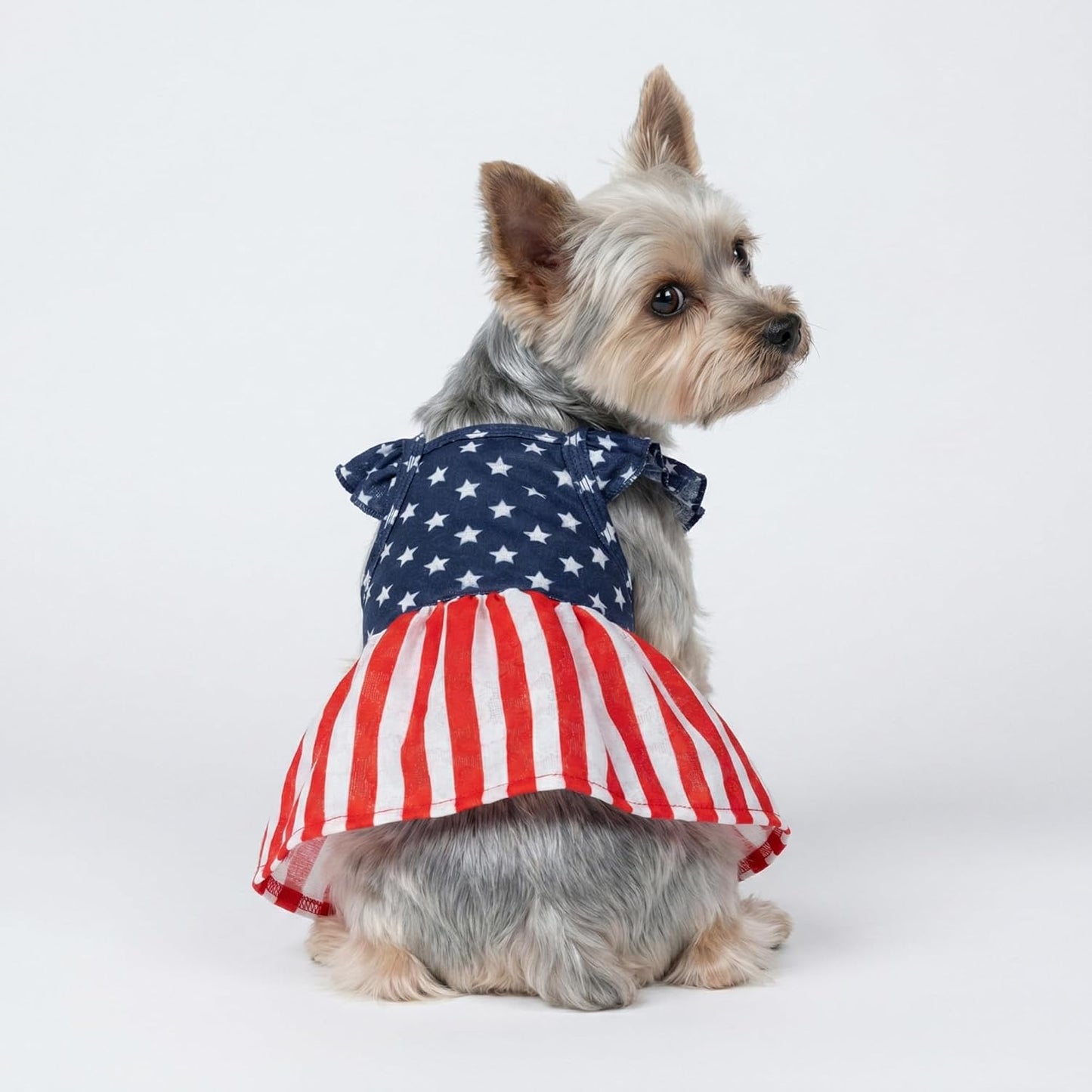 Fitwarm festive pet apparel Large size dimension check on a puppy