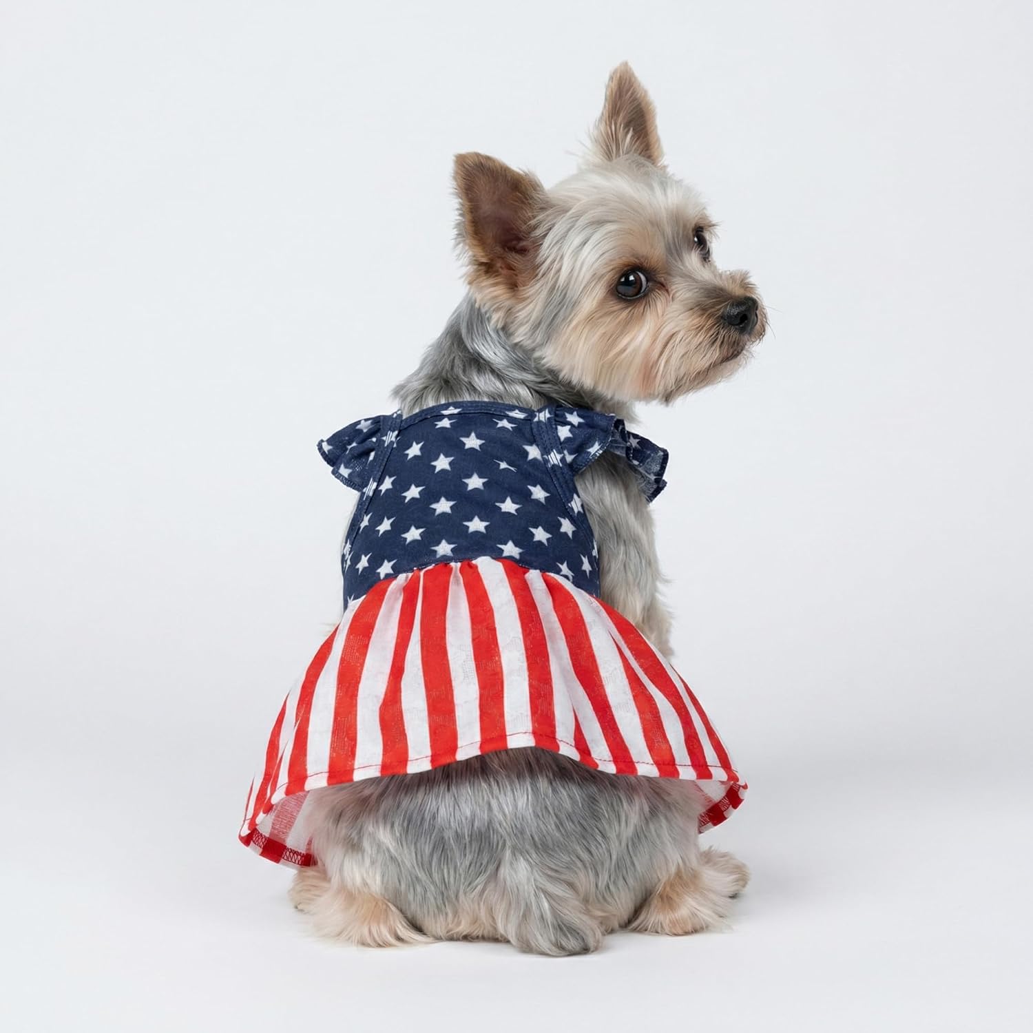 Fitwarm festive pet apparel Large size dimension check on a puppy