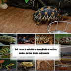Hamiledyi bearded dragon carpet used in a natural habitat setup.