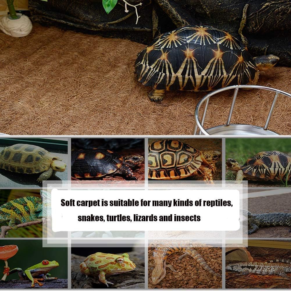 Hamiledyi bearded dragon carpet used in a natural habitat setup.