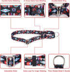 YOUALSO no slip training collar shown on a medium breed dog