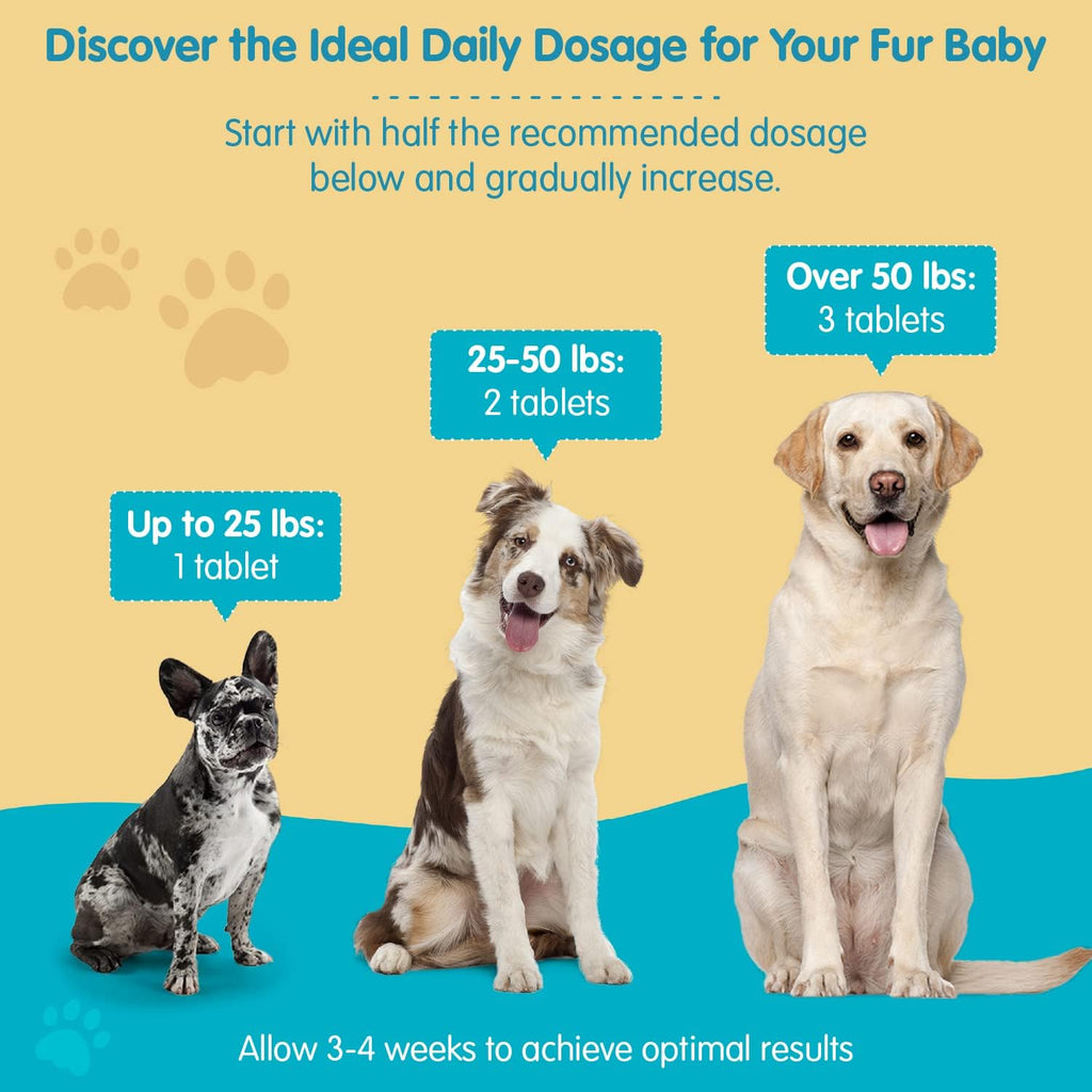 Pawsitive dog health supplement bottle on a clean surface