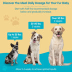 Pawsitive dog health supplement bottle on a clean surface