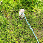 VTurboWay adjustable hamster harness color variants