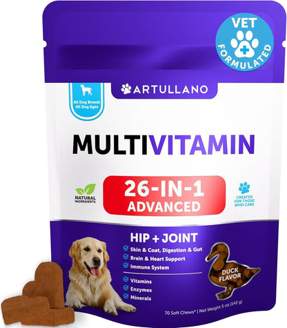 Vet Promise joint support supplement for dogs in bottle