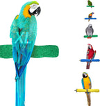 Sweet Feet and Beak Comfort Grip Safety Bird Perch, X-Large Pedicure Perch - Image 13