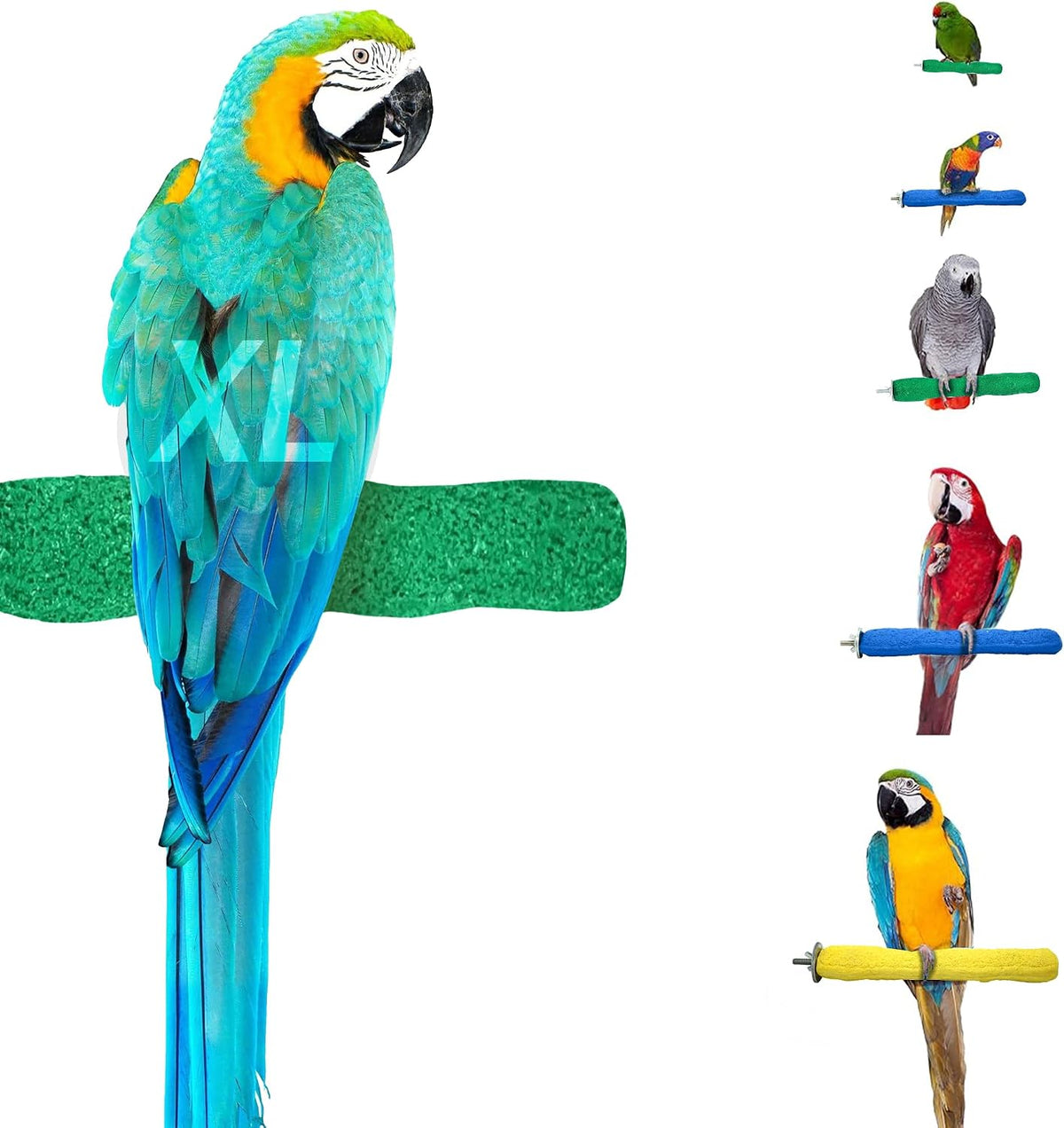 Sweet Feet and Beak Comfort Grip Safety Bird Perch, X-Large Pedicure Perch - Image 13