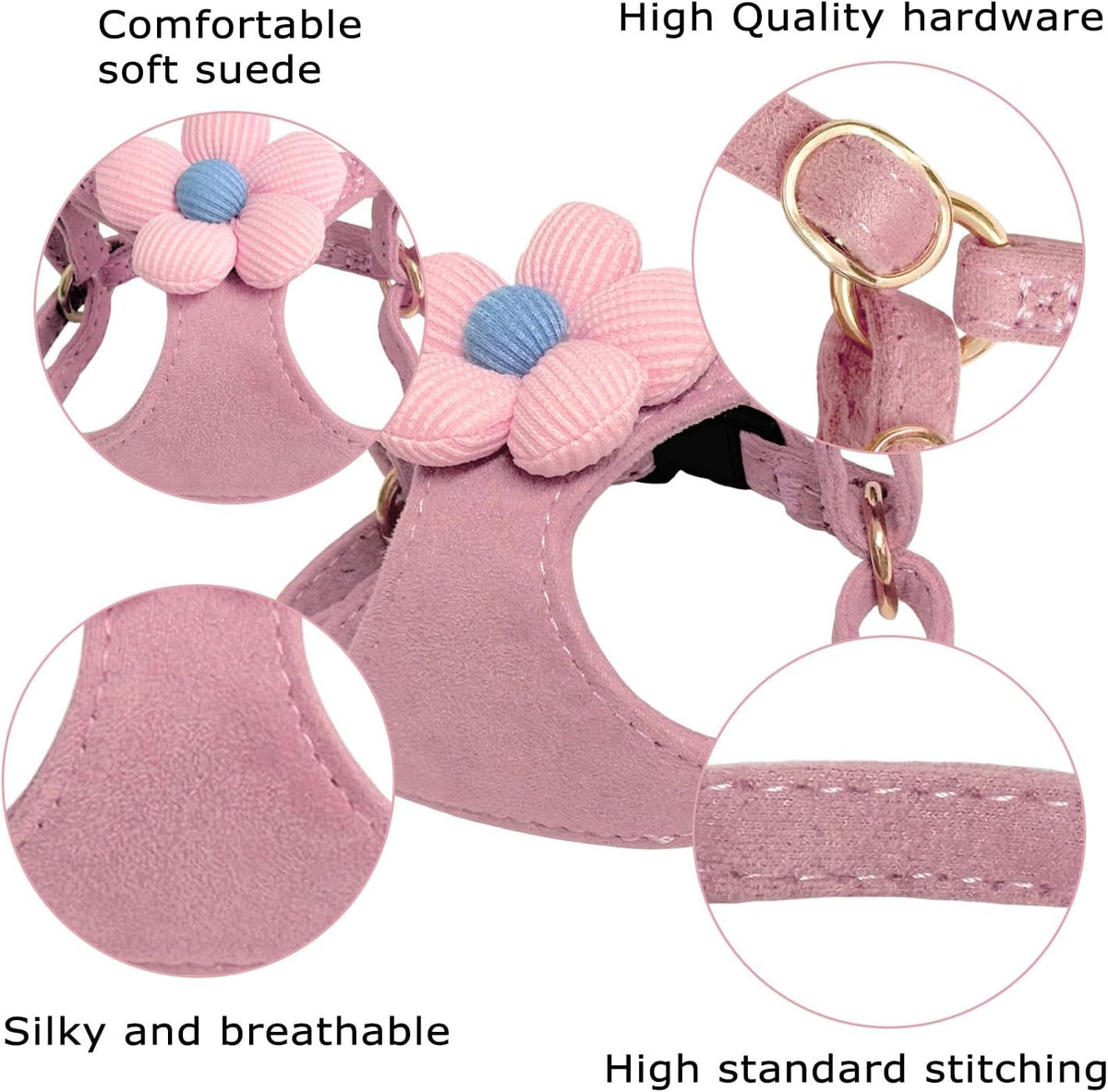 Guiding Star multifunction dog leash showing clip and hardware detail