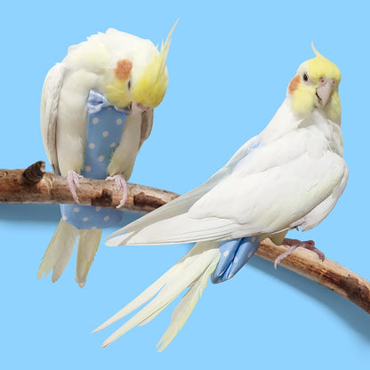 Product packaging for the VANFAVORI medium bird diaper harness flight suit showing all included pet training components and official brand labels.