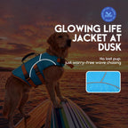 Blue dog life jacket with reflective strips in low light