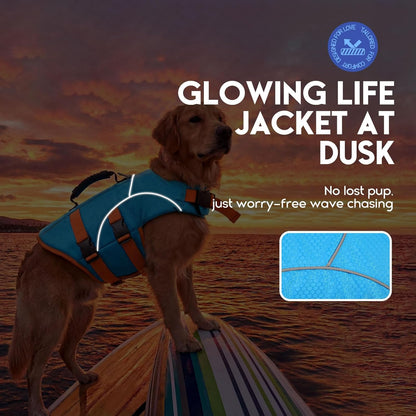 Blue dog life jacket with reflective strips in low light
