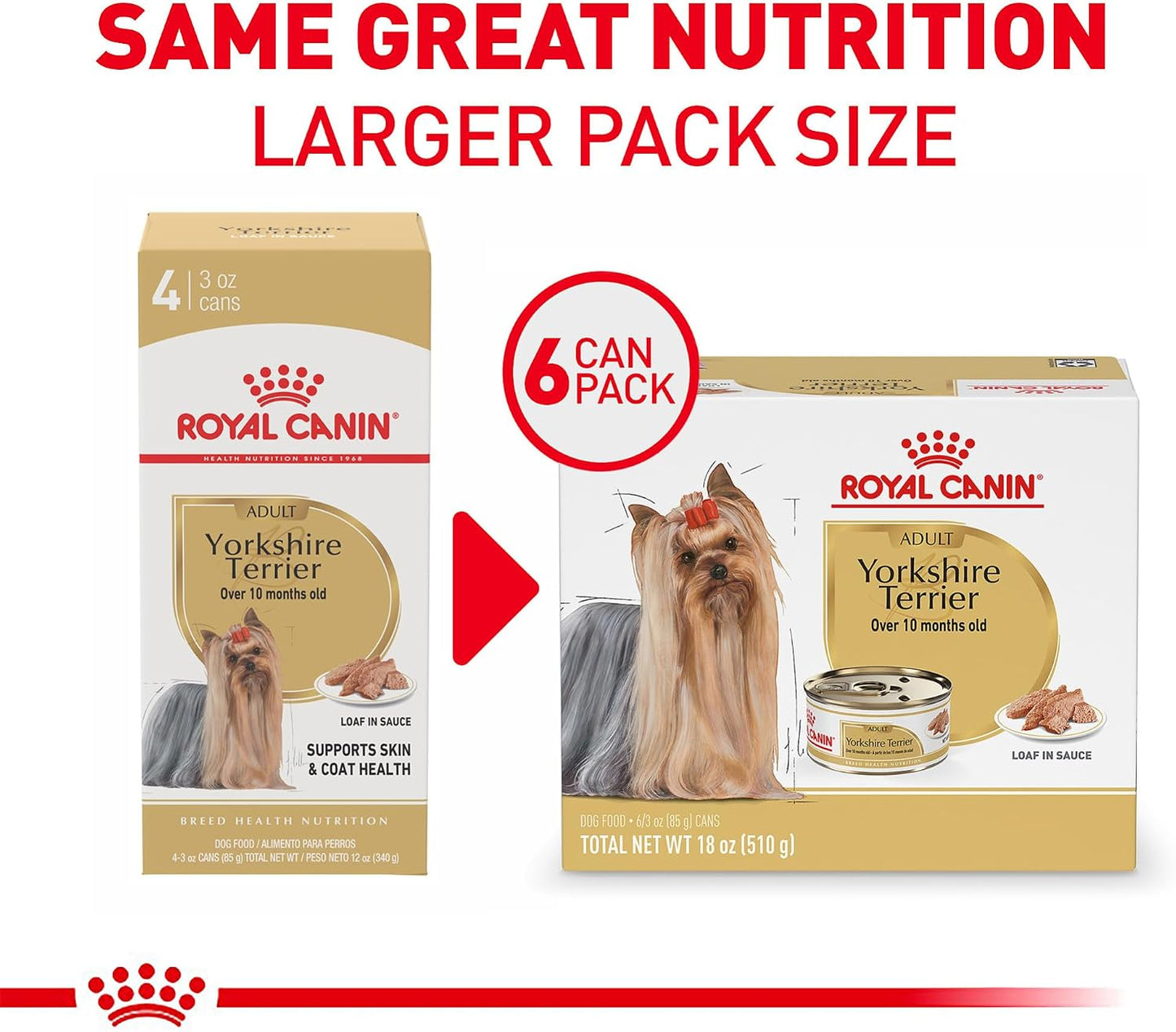 Royal Canin breed health nutrition wet dog food for adult Yorkies.