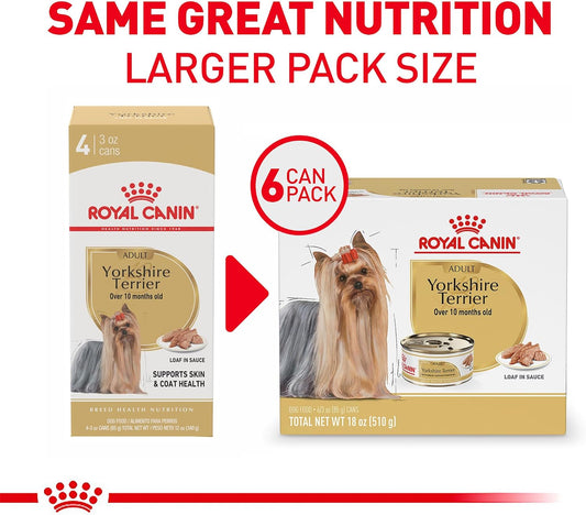 Royal Canin breed health nutrition wet dog food for adult Yorkies.
