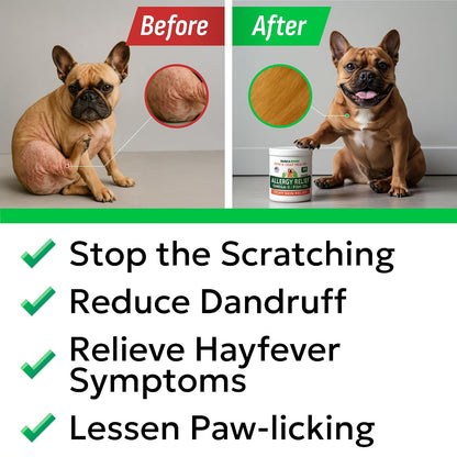Bark&Spark vet approved canine health supplements close up view