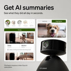 Petlibro pet camera mobile app interface showing activity summary
