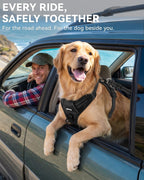 Joytale dog car safety belt buckle attachment