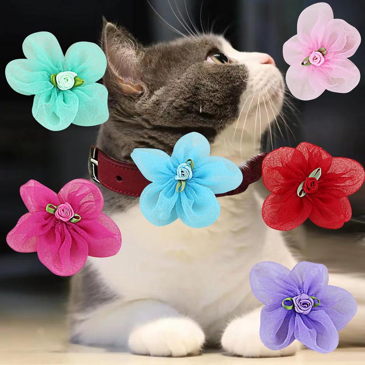 Layered sheer organza cat collar flower charms with a central ribbon rosebud design