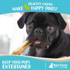 Raw Paws natural long lasting dog chews for plaque and tartar control