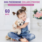 Adjustable dog pheromone collar being fitted on a small puppy