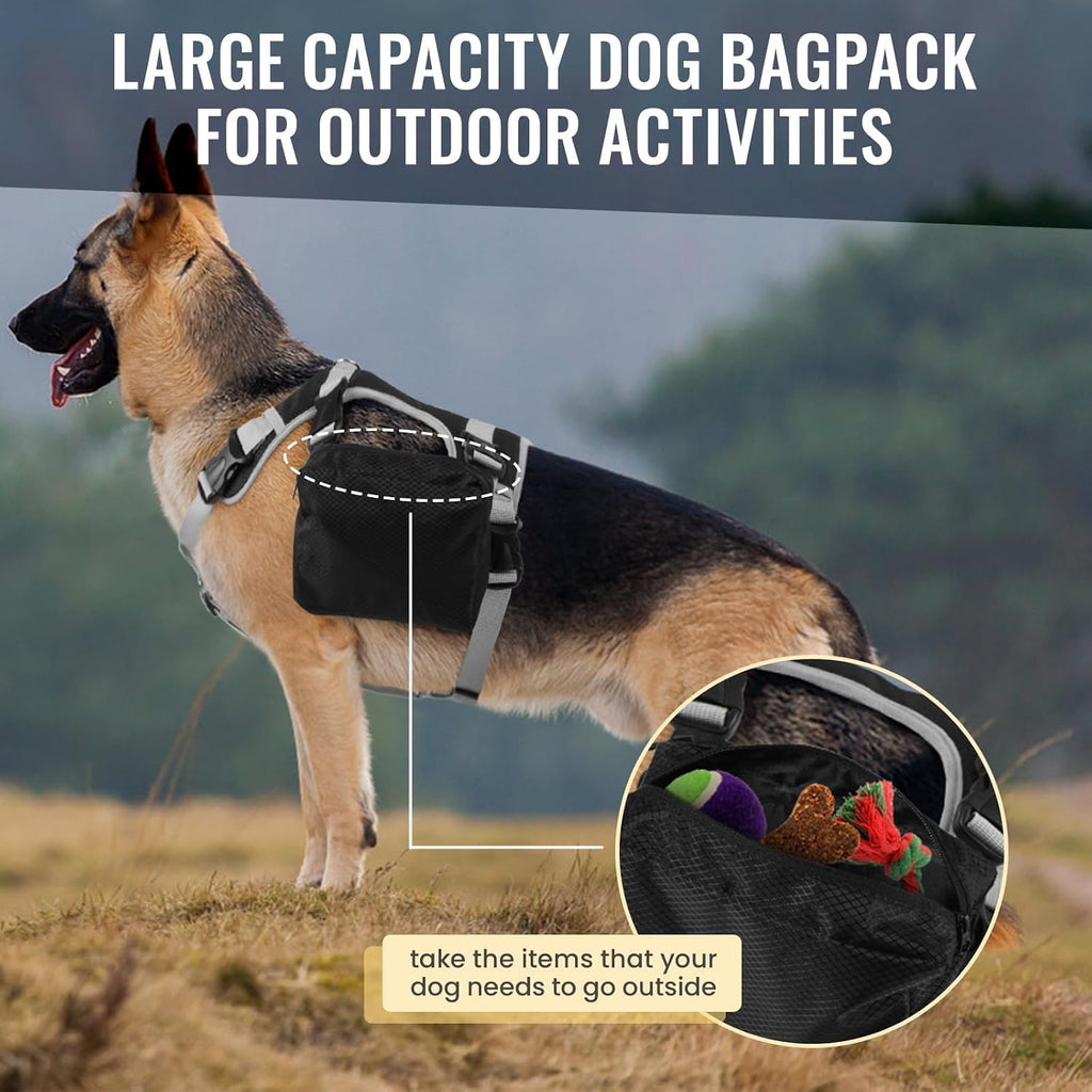 Quick Release Buckles And Secure Leash Ring Detail