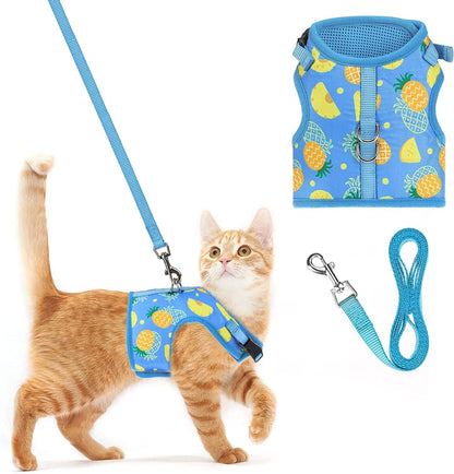 PUPTECK Soft Mesh Cat Vest Harness and Leash Set Puppy Padded Pet Harnesses Escape Proof for Cats Small Dogs (X-Large, Lake Blue) - Image 13