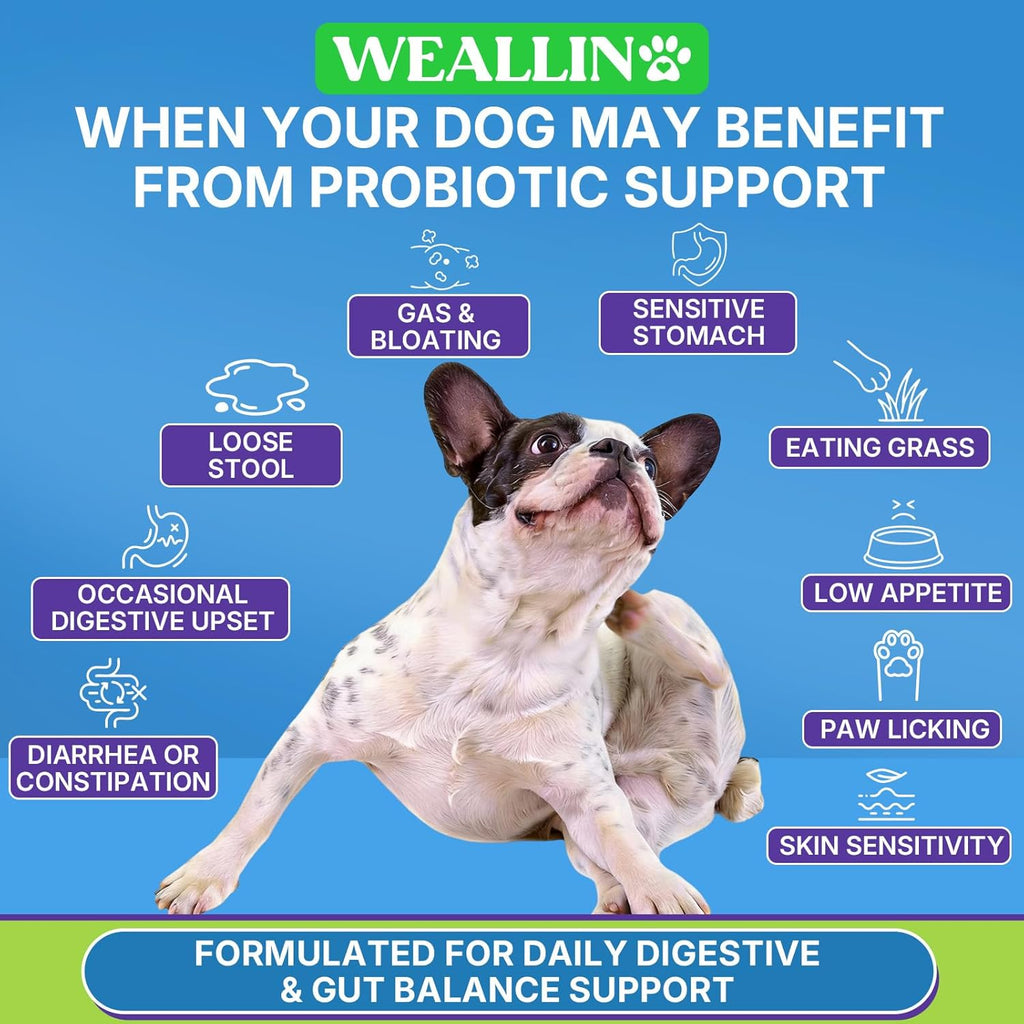 Weallin pet digestive enzymes and prebiotics formula for dog itchy skin support.