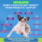 Weallin pet digestive enzymes and prebiotics formula for dog itchy skin support.
