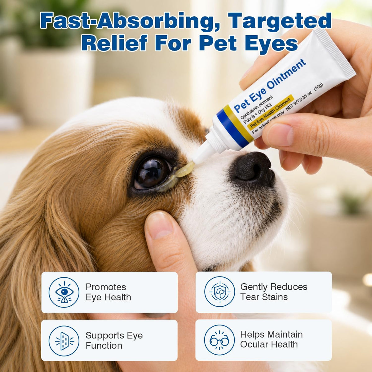 Applying gentle moisture support ointment to a dog eye area