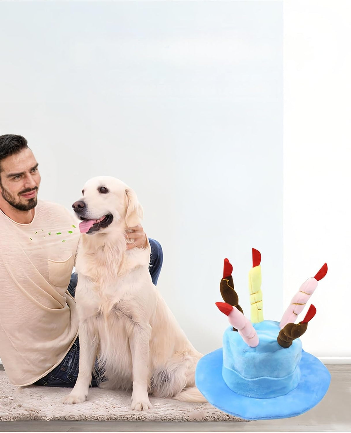 Pet wearing blue cake party hat for photo shoot