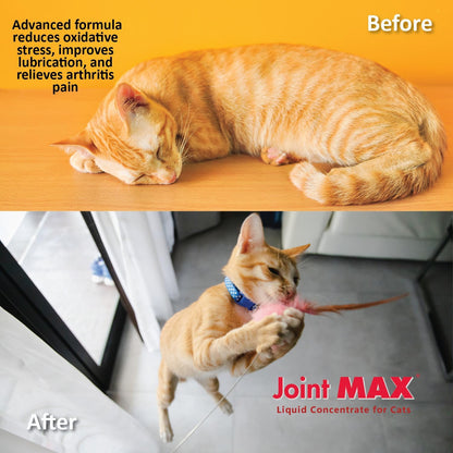 Liquid for Cats - Joint & Mobility Support Supplement with Glucosamine, MSM, Chondroitin, Omega-3 - Helps Ease Stiffness & Discomfort - 2 fl oz - Made in USA - NASC Certified - Image 9