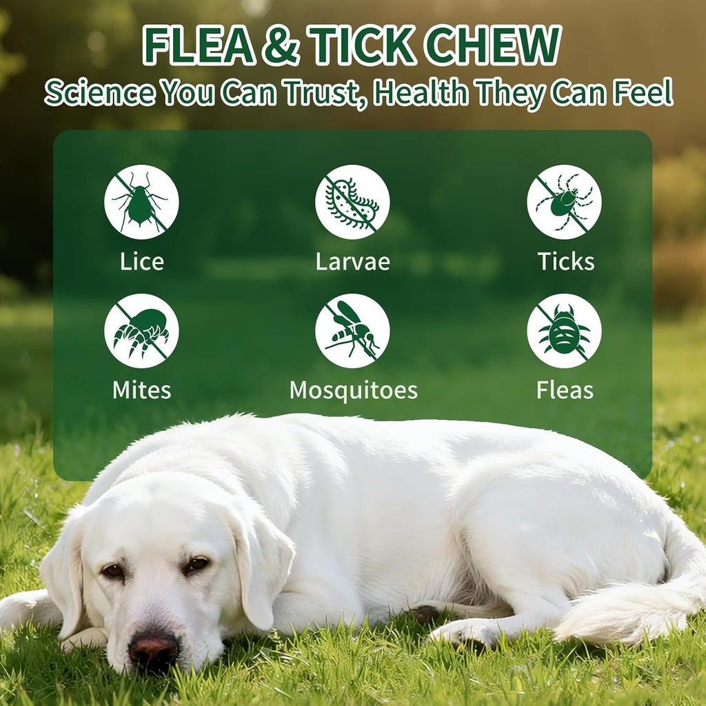 Side view of ColEaze flea and tick soft chews packaging