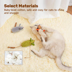 Premium Potaroma silvervine animal toys packaging presentation highlighting the safe dental care components.